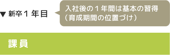 新卒1年目 課員