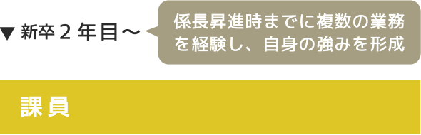 新卒2年目〜 課員