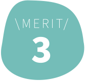 MERIT 3